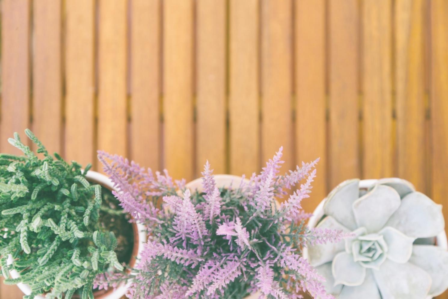 Colour in Floral Arrangement: Working with Palettes Deliberately
